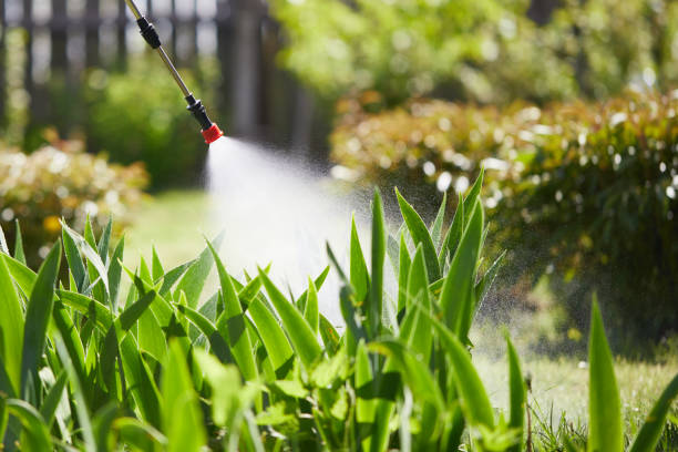 24/7 Emergency Wasp Removal experts in Greencastle, IN